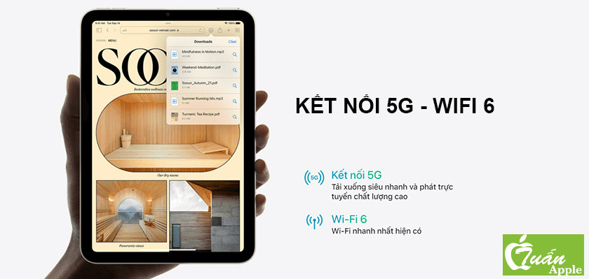 ipad mini 6