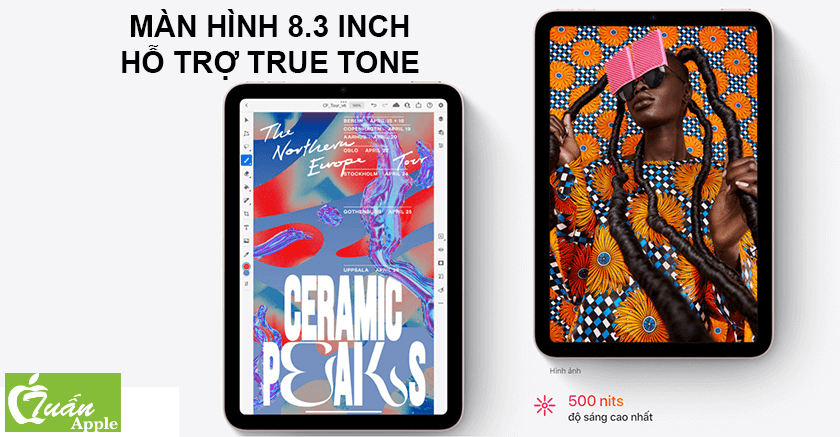 ipad mini 6