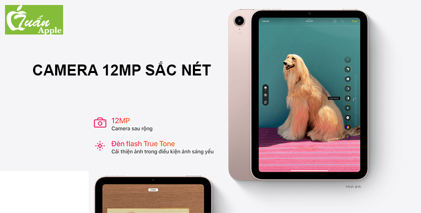 ipad mini 6
