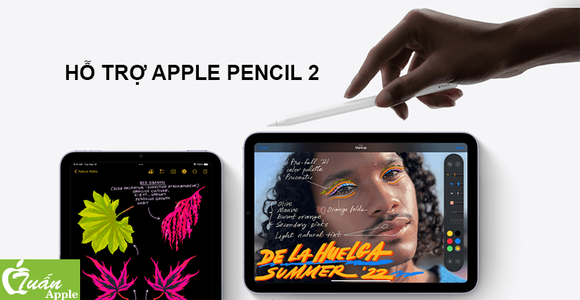 ipad mini 6