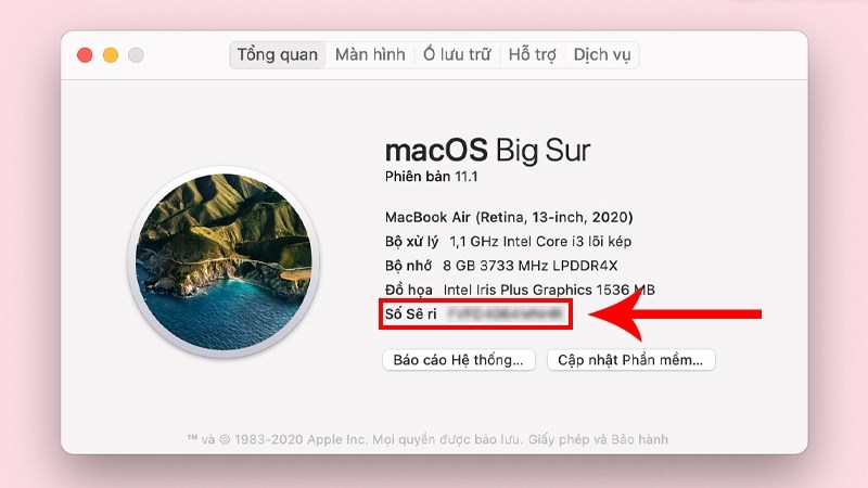 Cách test MacBook cũ trước khi mua qua thông tin máy