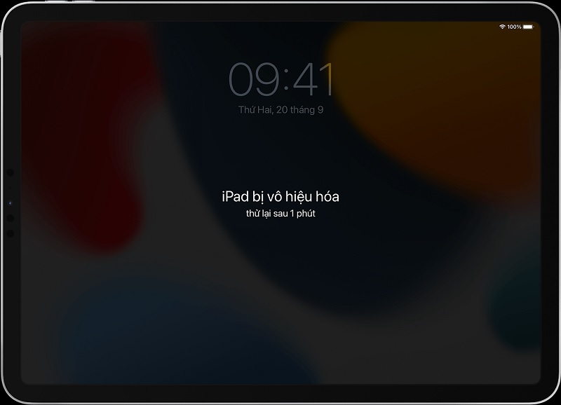 Cách khoá kích hoạt iPad trong các trường hợp khẩn cấp