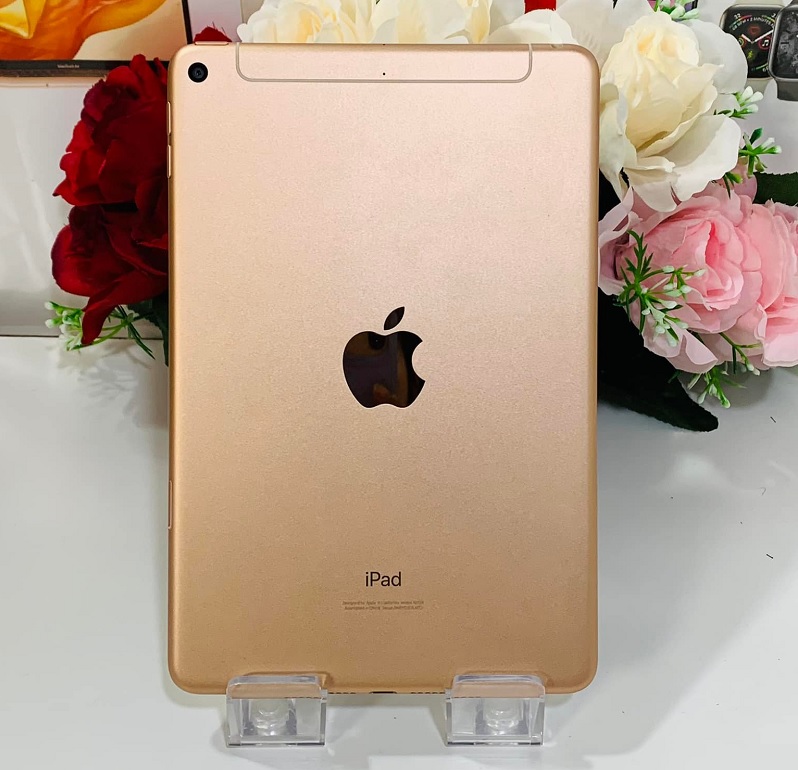 iPad mini 5 WiFi