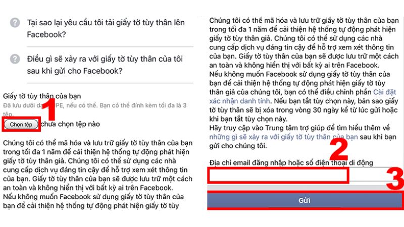 Cách lấy lại Facebook không cần mã xác nhận nhanh chóng