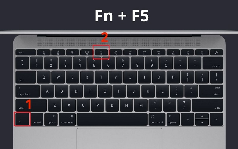 Cách bấm F5 trên MacBook đúng